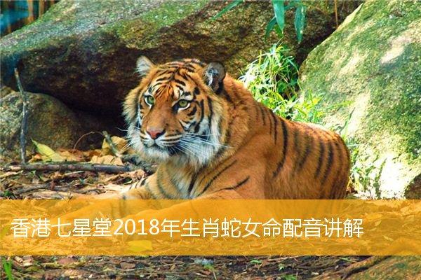 香港七星堂2023年生肖蛇女命配音讲解