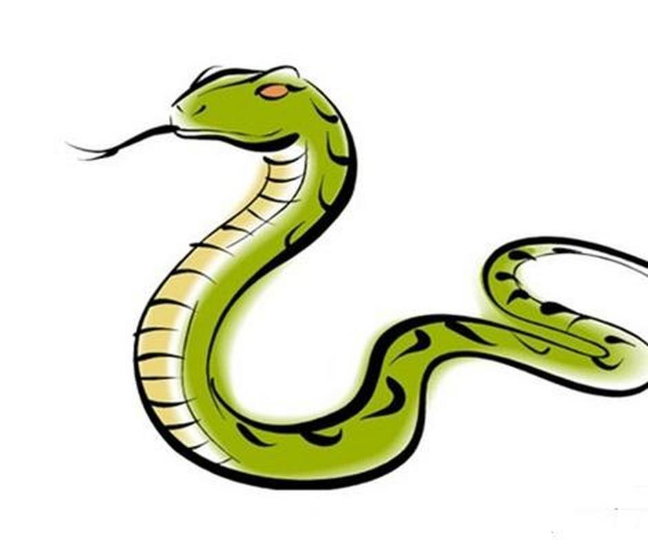 生肖蛇 属相蛇多变的性格总是被诟病为花心不踏实,不过属相蛇一旦深情