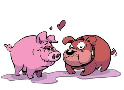 生肖配对姻缘表2023属猪和属鸡的婚姻如何