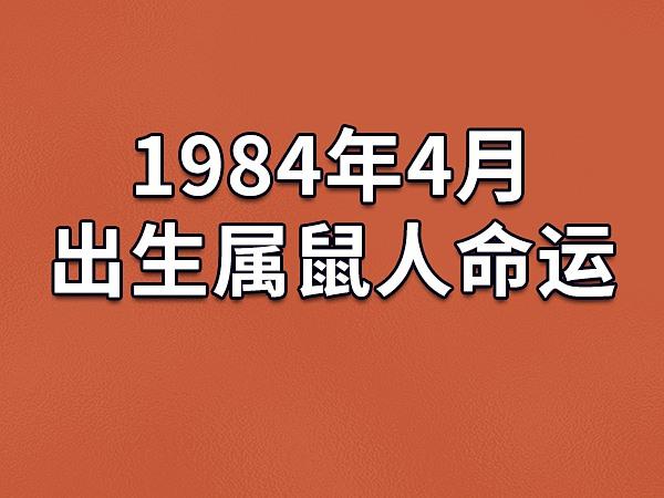 1984年4月出生属鼠人命运(农历,爱情,事业运势解析)_吉星堂