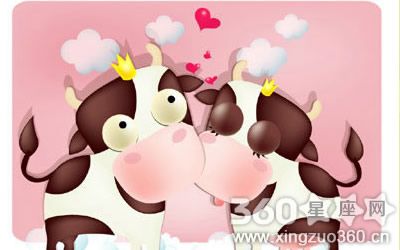 属牛的如何增加恋人之间的粘度?