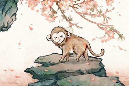 1980属猴的40岁以后爱情桃花运如何