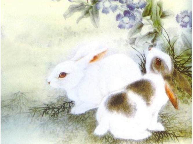 1987年属兔女事业_1984年女鼠1987年男兔_1987年兔属什么命