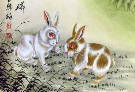 生肖兔属兔的人非常重感情,他们对于爱情也是一种比较专一的态度,一旦