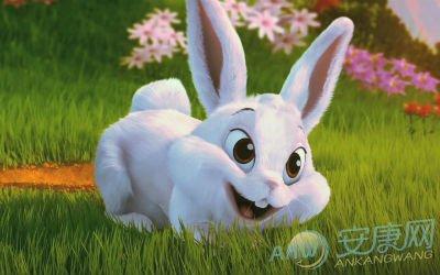 生肖兔一直被人认为是12个生肖中最好性格的属相, 属兔的人往往特别