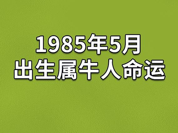 1985年5月出生属牛人命运(农历,爱情,事业运势解析)_吉星堂